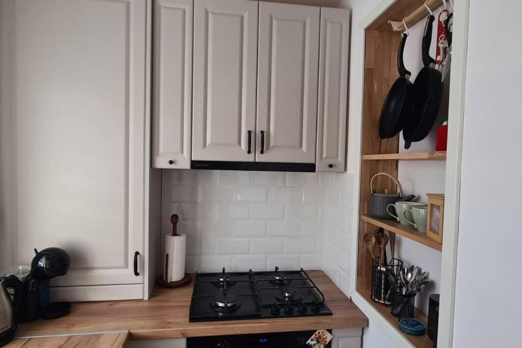 Warm And Cozy Studio Flat Near Straja Uricani  Ngoại thất bức ảnh