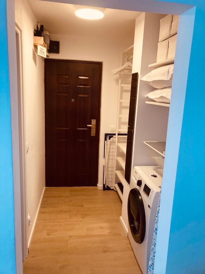 Warm And Cozy Studio Flat Near Straja Uricani  Ngoại thất bức ảnh